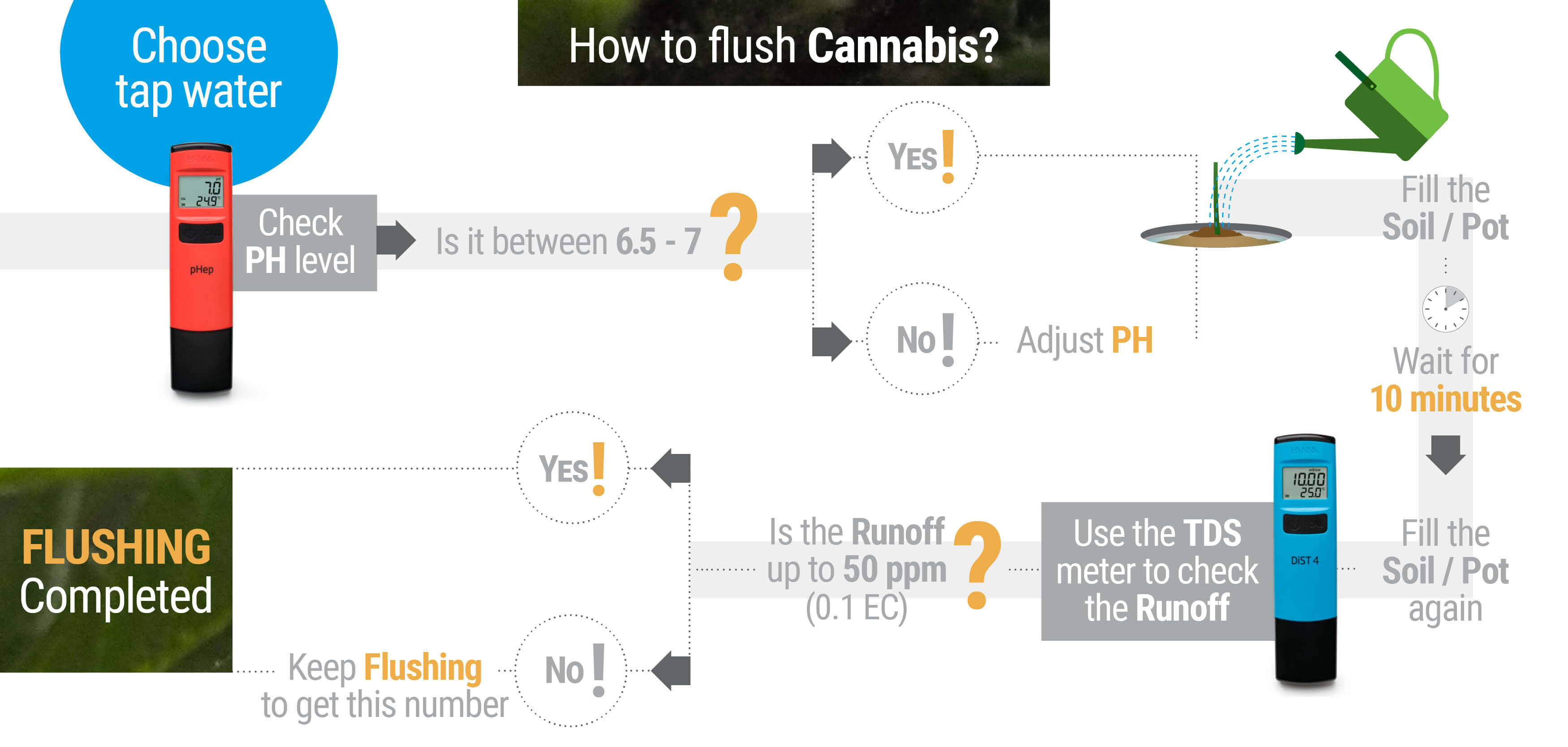 How and When to Flush Marijuana Plants - RQS Blog